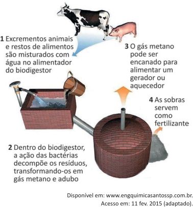 Imagem ilustrativa da questão